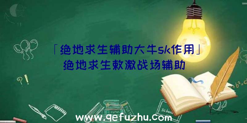 「绝地求生辅助大牛sk作用」|绝地求生敕激战场辅助